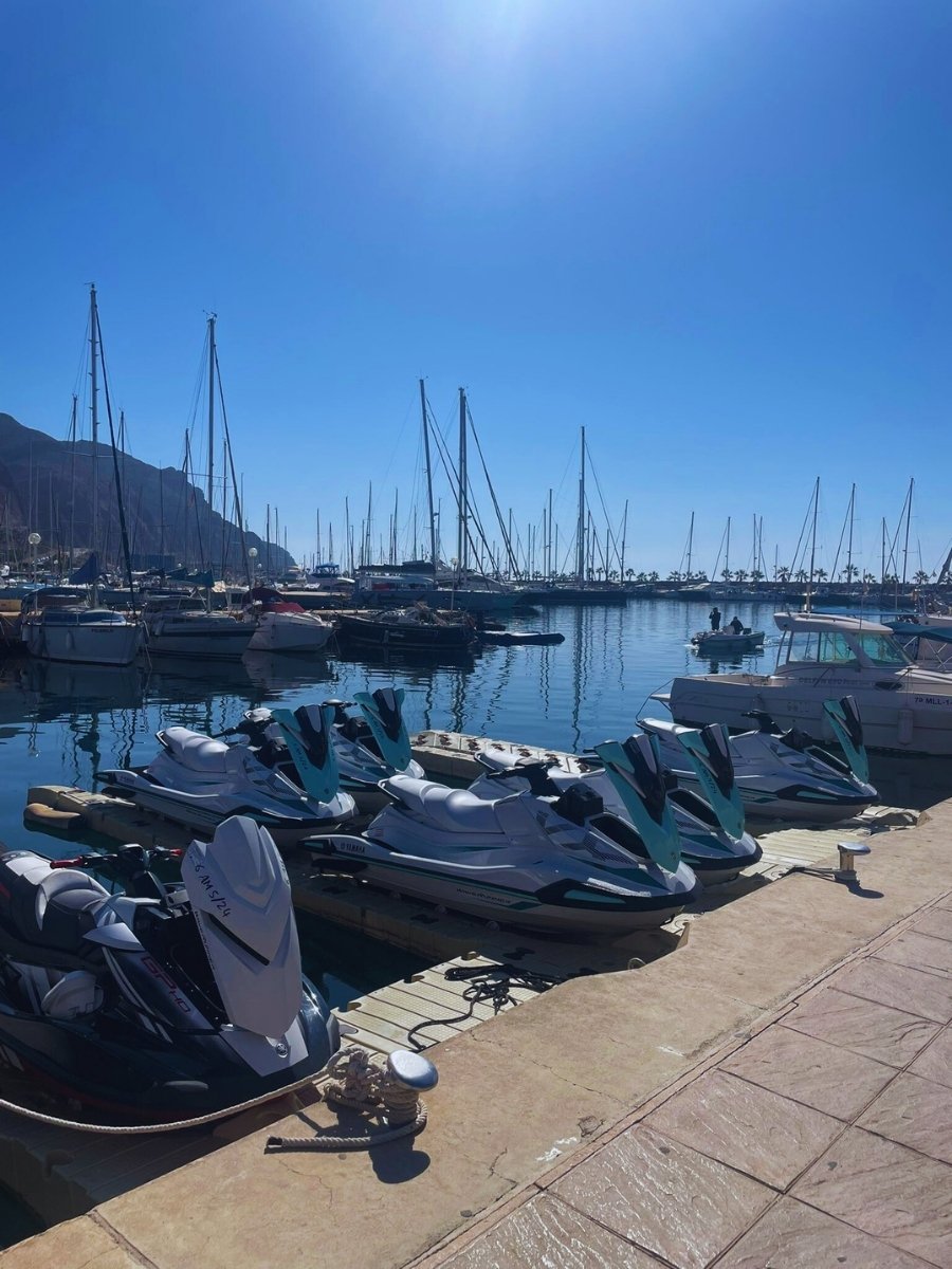 BlueHorseAguadulce (12)