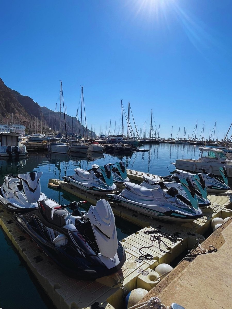 BlueHorseAguadulce (13)