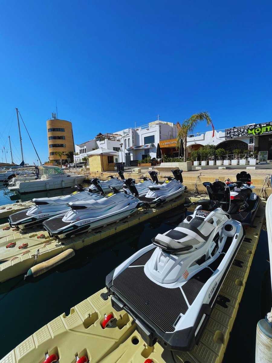 BlueHorseAguadulce (14)