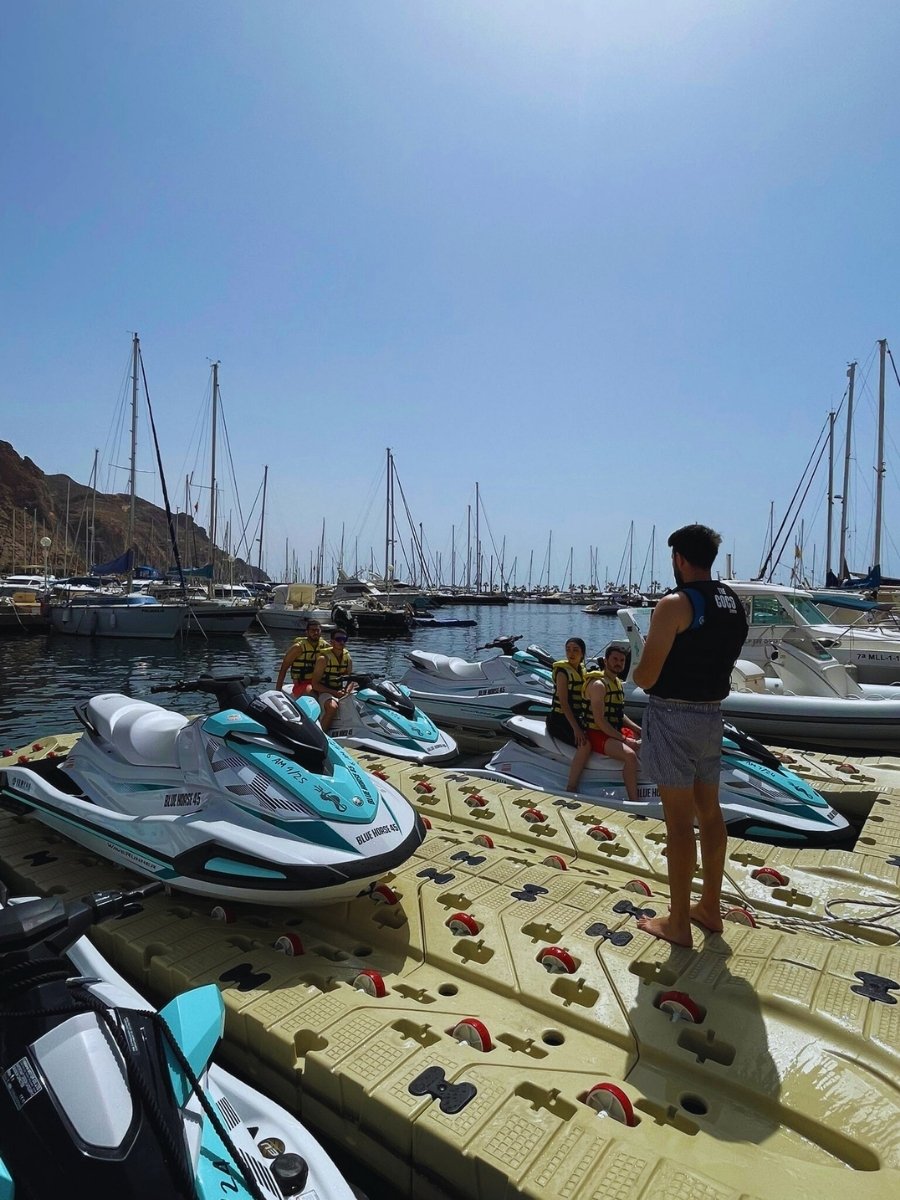 BlueHorseAguadulce (4)