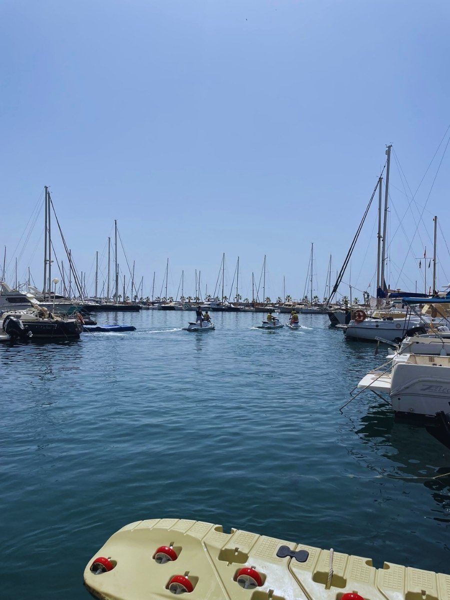 BlueHorseAguadulce (6)